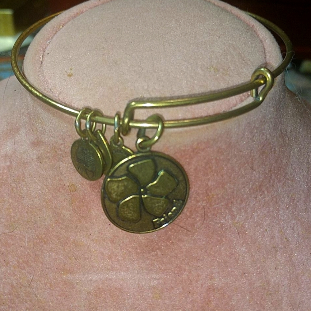 Alex and Ani Friends Bracelet